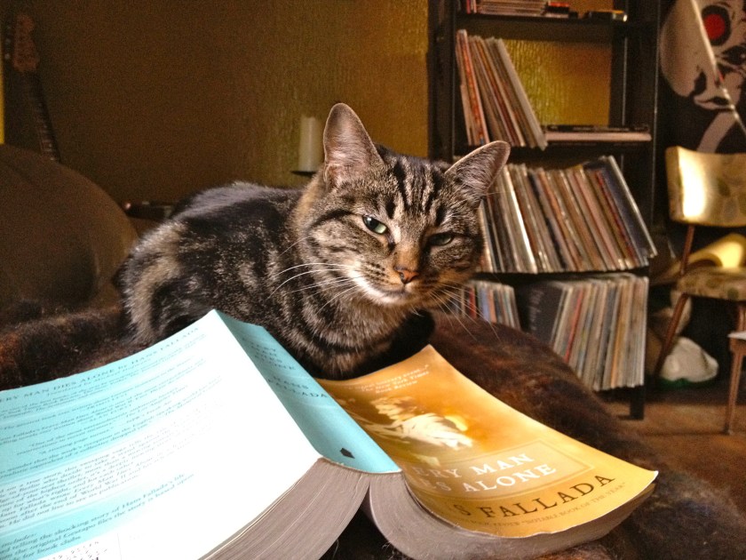 I'm the cat whisperer.